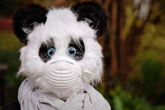 ユニベット カジノ サポート